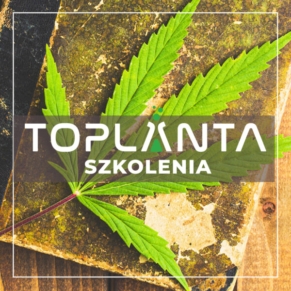 Szkolenie w zakresie uprawy konopi włóknistej na susz lub nasiona w warunkach indoor/outdoor