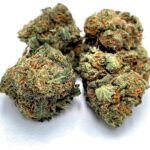 White Widow 2g Toplanta z akcyzą