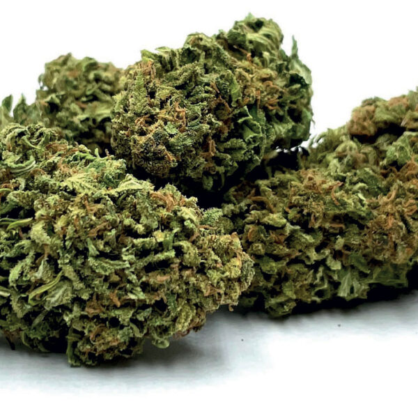 AK - 47 5g Toplanta z akcyzą