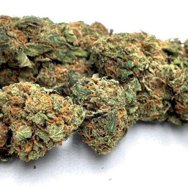 Amnesia 5g Toplanta z akcyzą