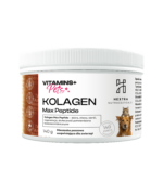 6bf3b3c453ba4a4224a6fd241146c663