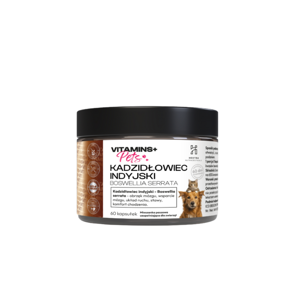 db24f24de9dafeb7b5ac088b628319d1