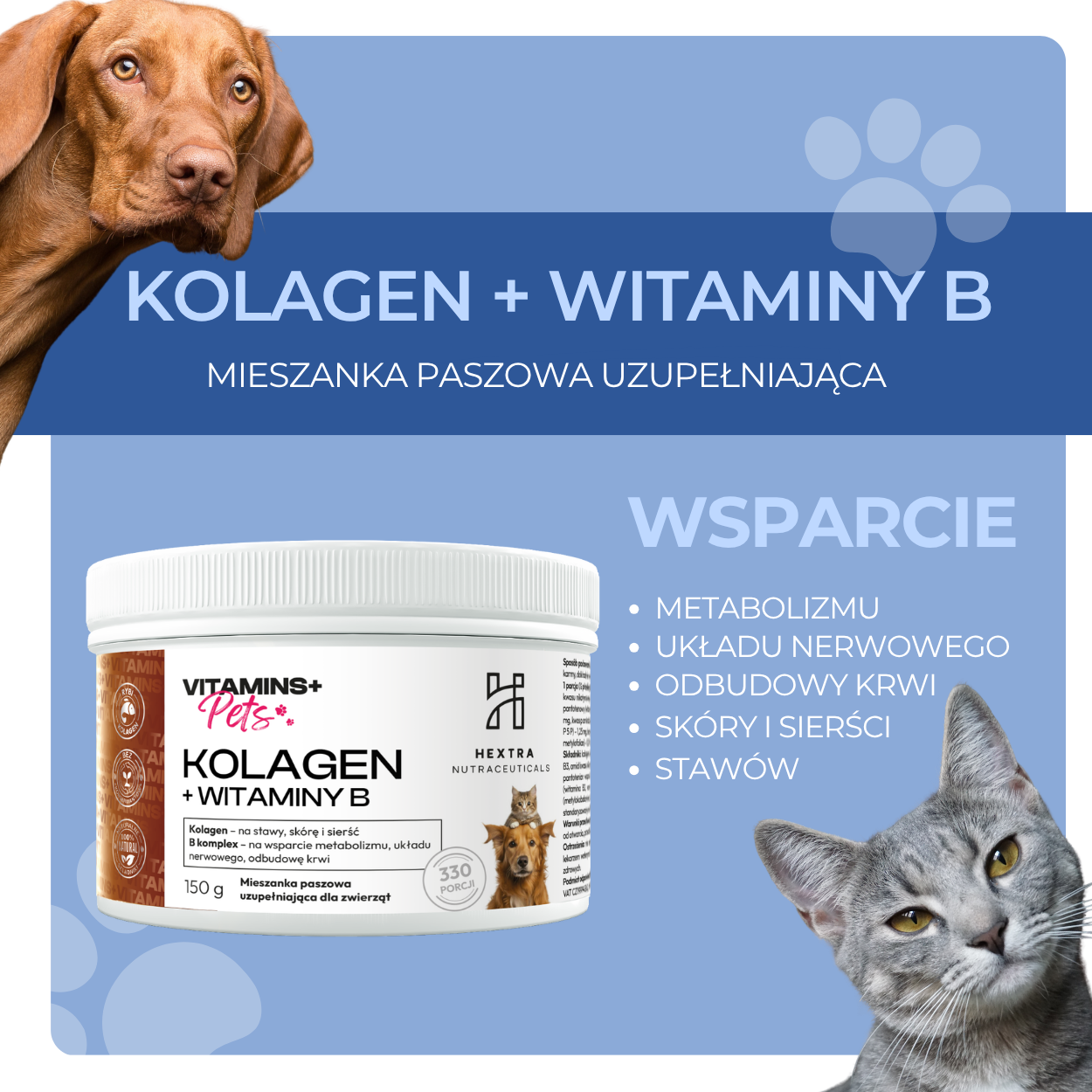 151047dcbafd1ddd3a2cbdc86a8e1213