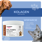 494715ee3195eeba8c93b56cfca267b9