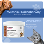 a747b170354bc0338e866970826e7e92