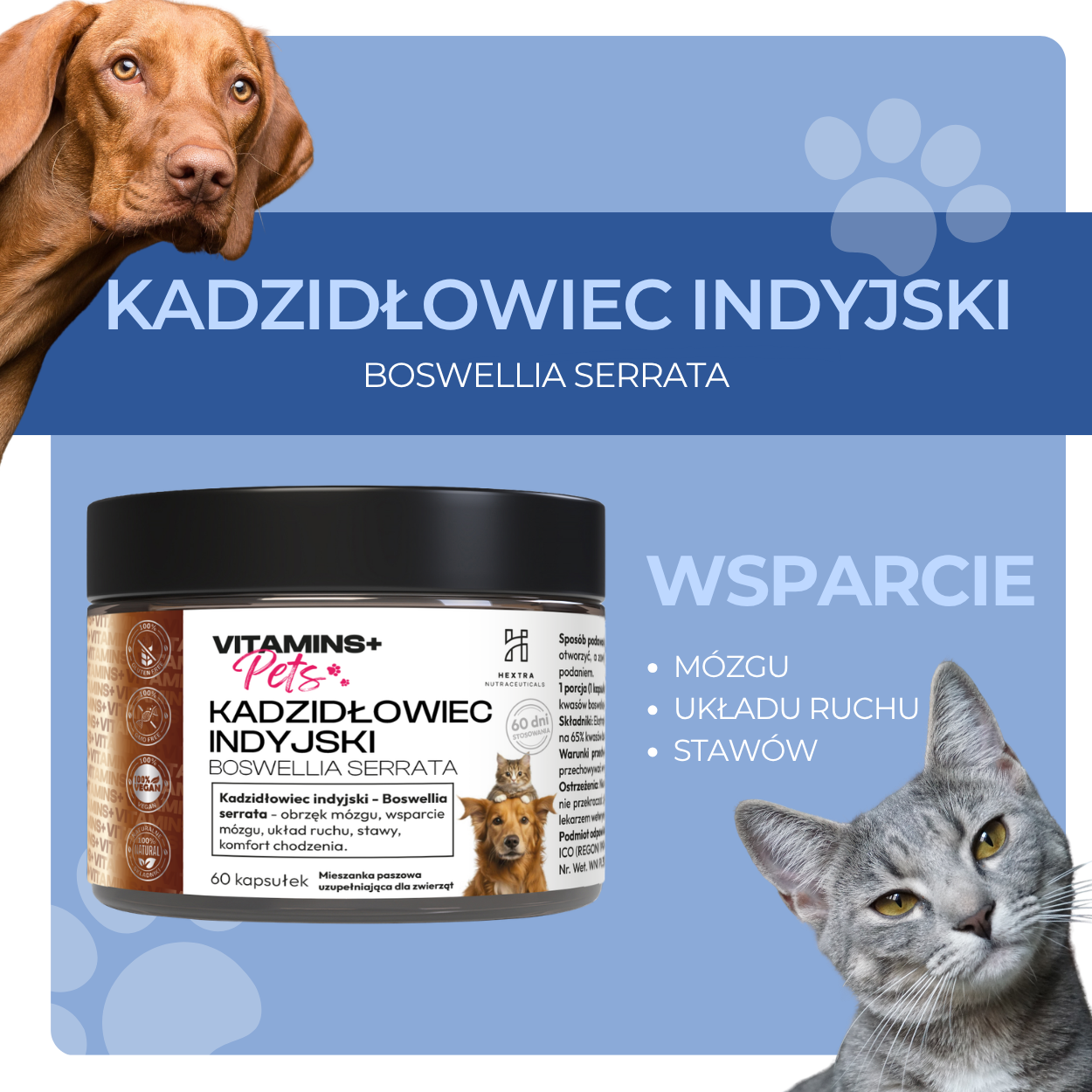 ab168f768a904584b1670858bb112c05