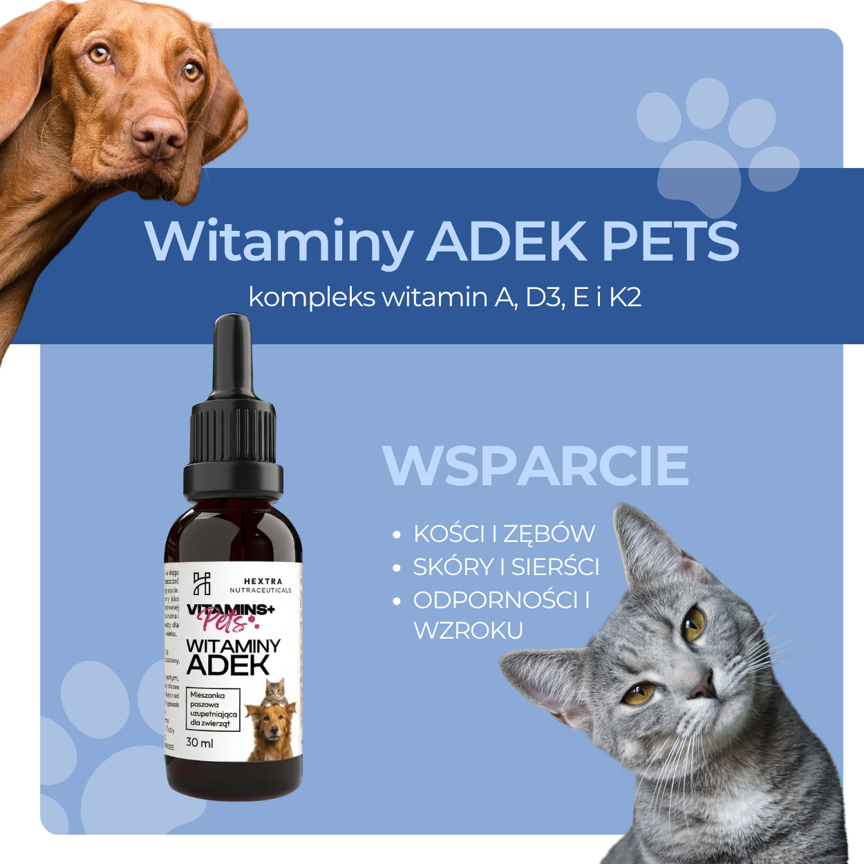 ca1ec5fb8280c1bd296cf8d7f1829e46