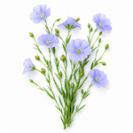 d6318f3ac7e9611298fd290de77ce75c