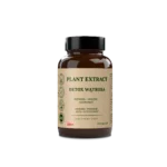 DETOX - RZEWIEŃ + MNISZEK + OSTROPEST | 100 kaps.