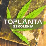 Szkolenie w zakresie uprawy konopi włóknistej na susz lub nasiona w warunkach indoor/outdoor