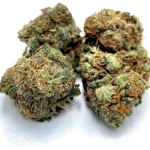 White Widow 5g Toplanta z akcyzą