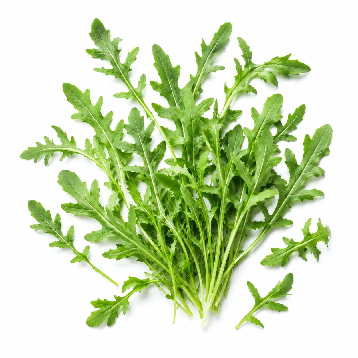 35a4d30e478c738c8daad5bf1494f284